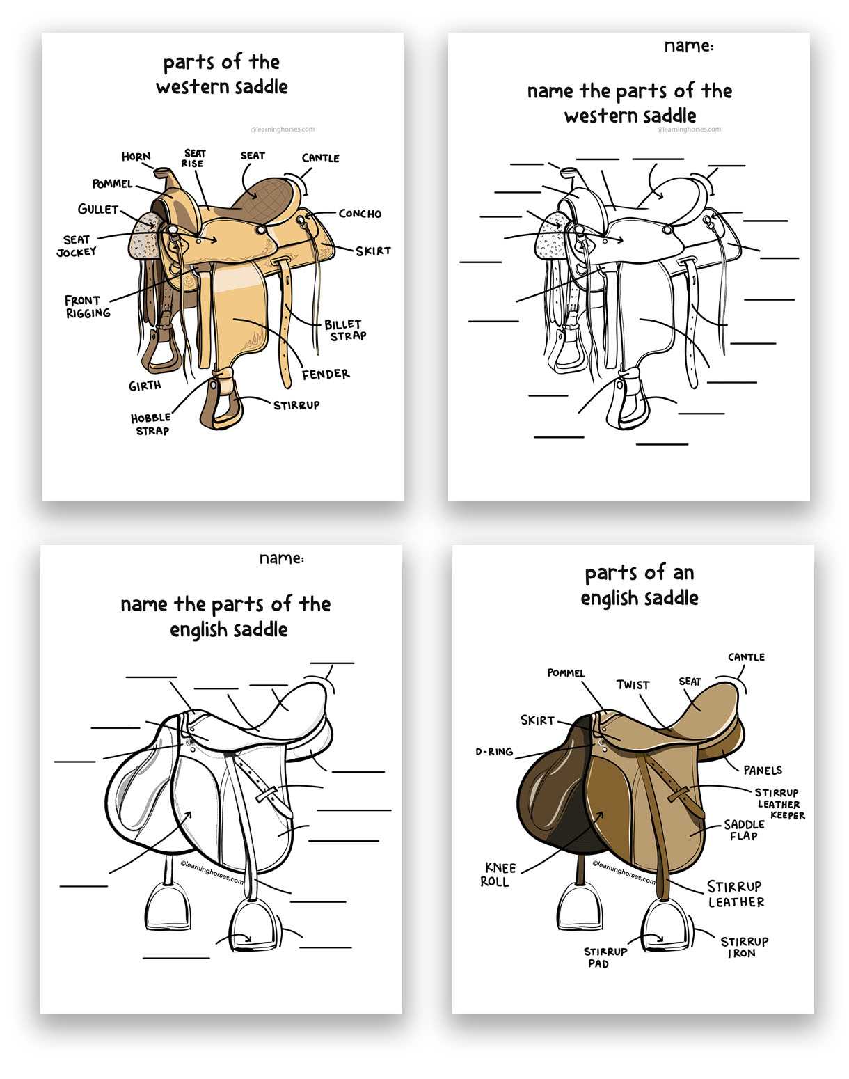 parts of the saddle diagram