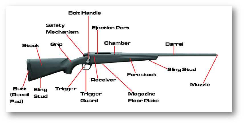 bolt action rifle parts diagram