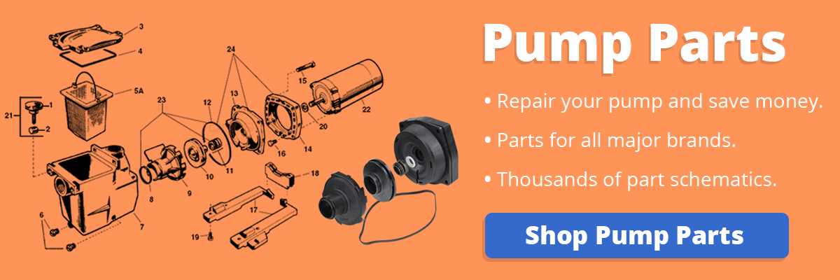 pool pump motor parts diagram