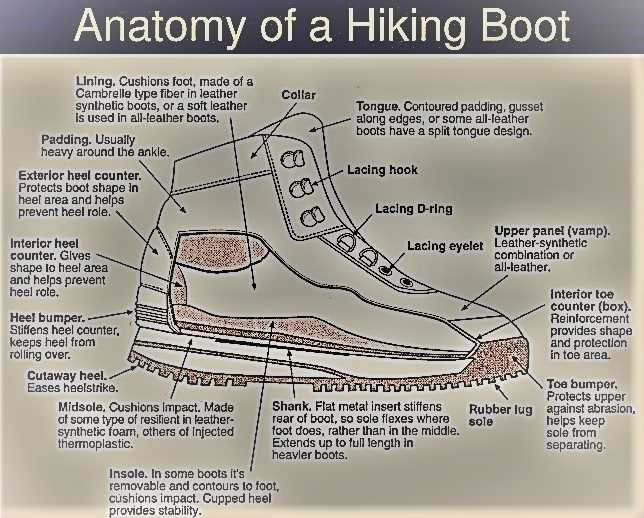 ski boot parts diagram