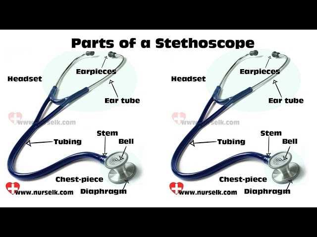 stethoscope parts diagram