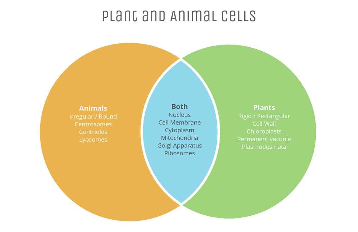 tree body parts venn diagram