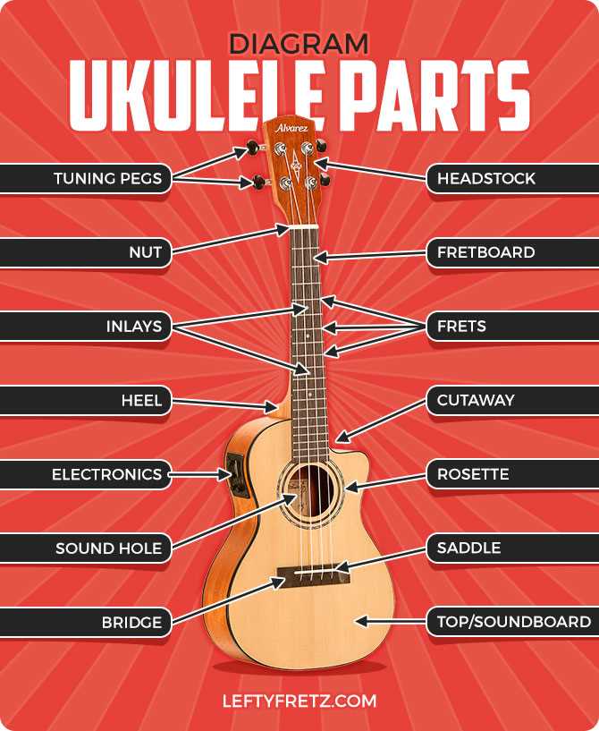 parts of ukulele diagram