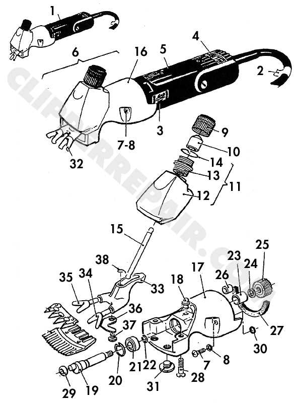 sheep parts diagram