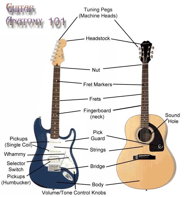 acoustic guitar parts diagram