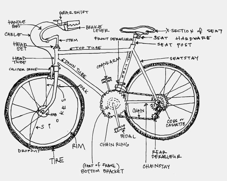 bicycle stem parts diagram