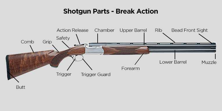 pump shotgun parts diagram