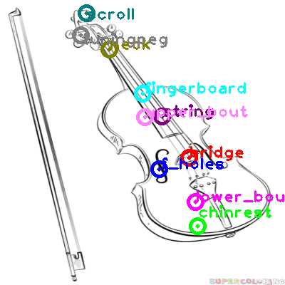 violin diagram parts