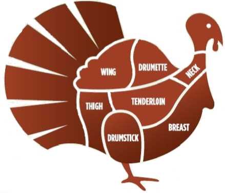 diagram parts of a turkey