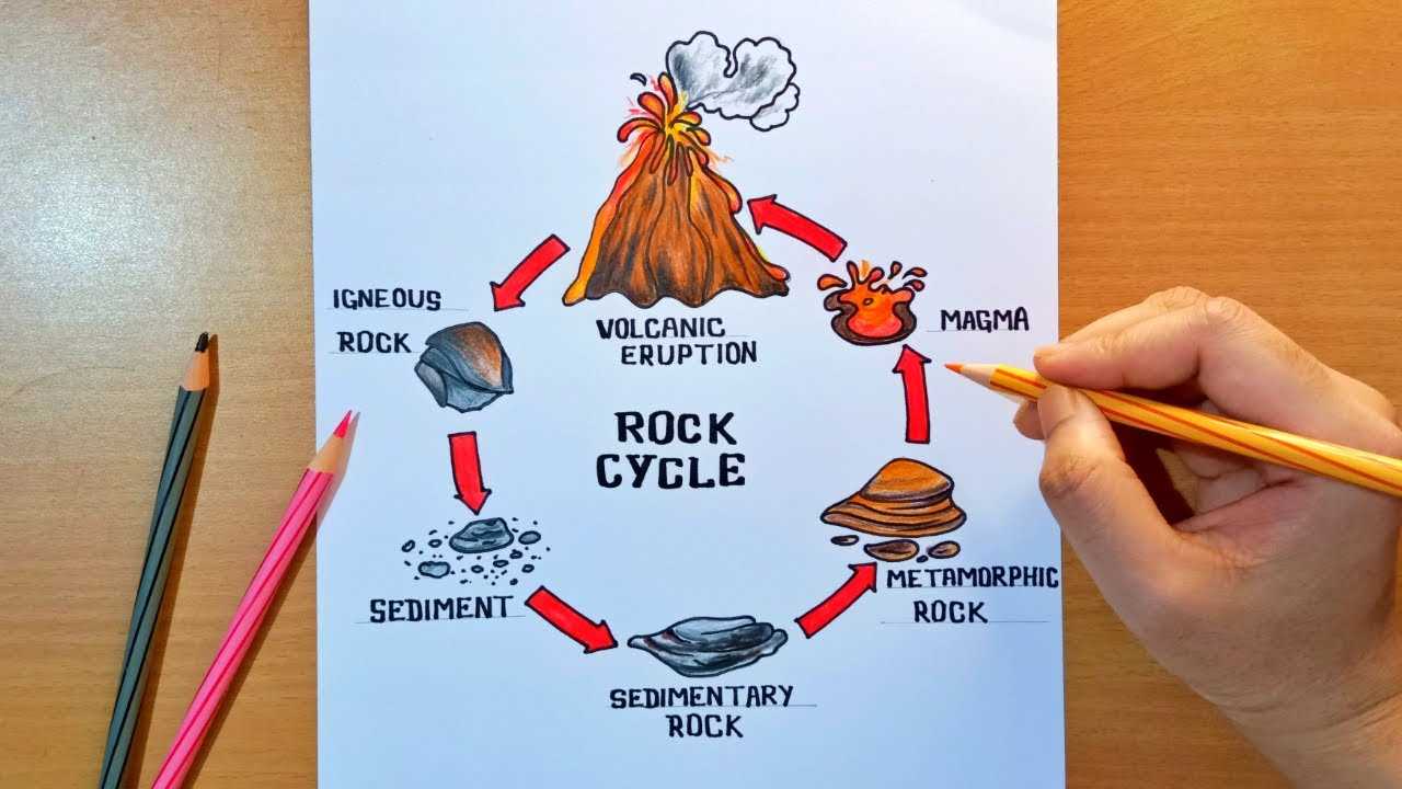 the diagram shows part of the rock cycle.