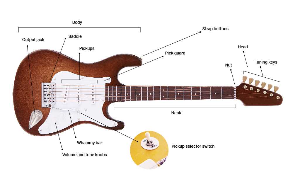 parts of acoustic guitar diagram